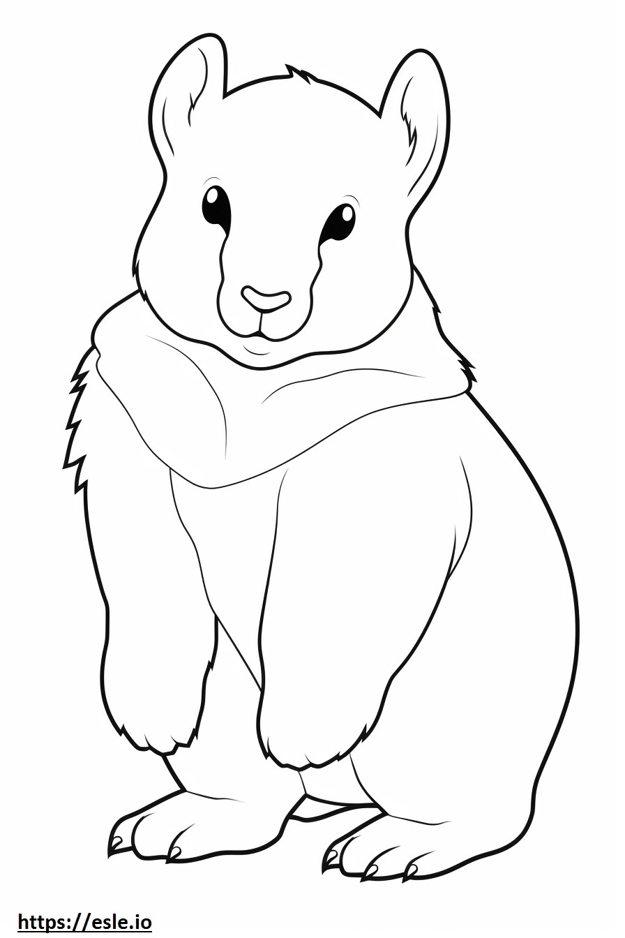 Arctic Hare baby coloring page