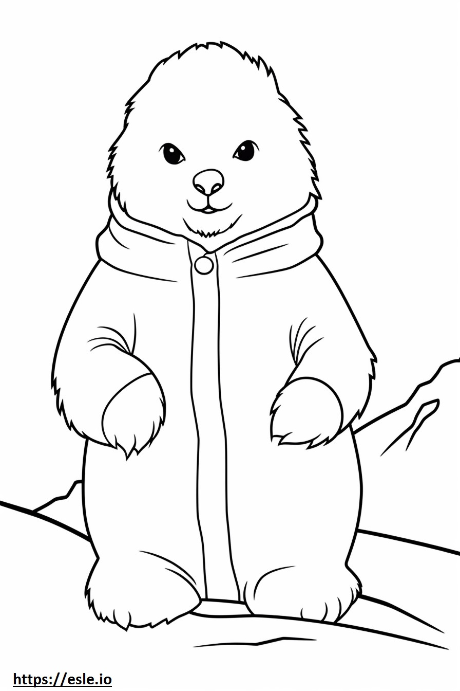 Arctic Hare baby coloring page