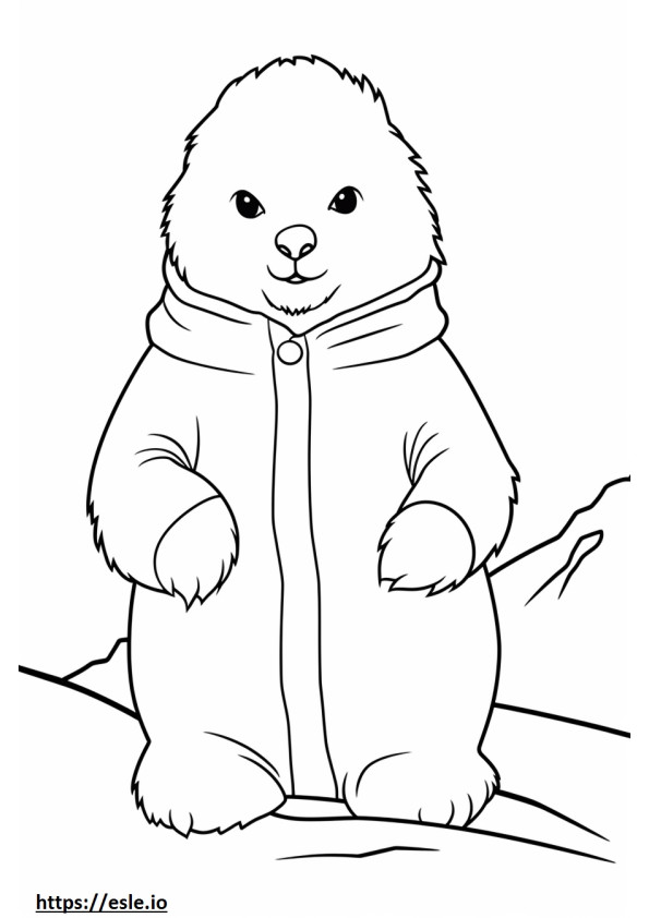 北極ウサギの赤ちゃん ぬりえ - 塗り絵