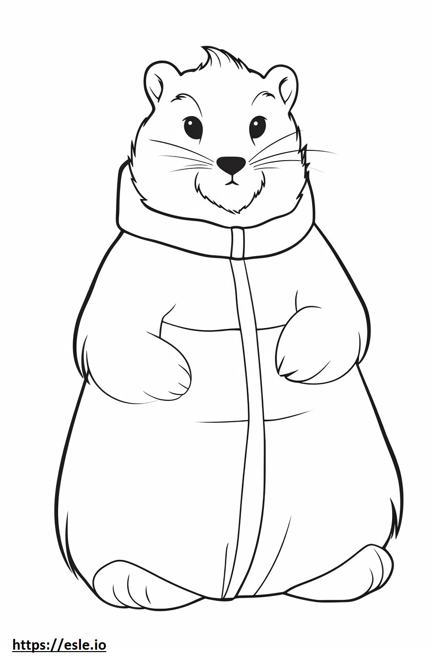 Arktik tavşan karikatür boyama