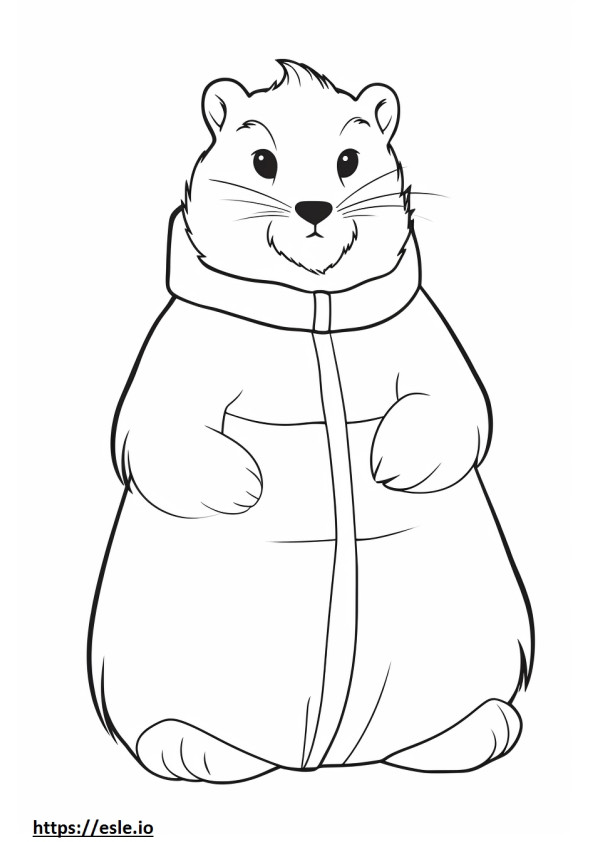 Arctic Hare rajzfilm szinező