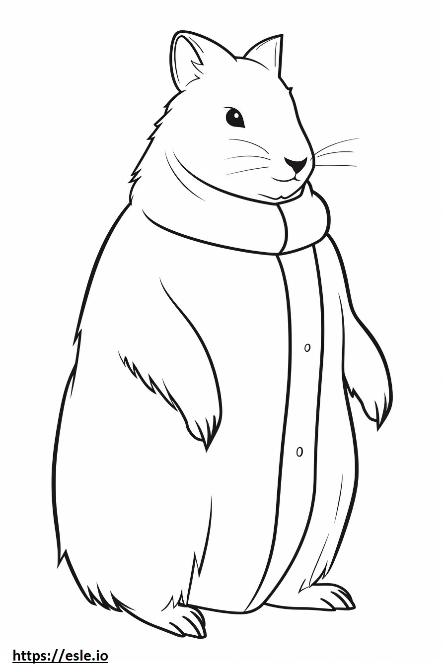 Arctic Hare cartoon coloring page