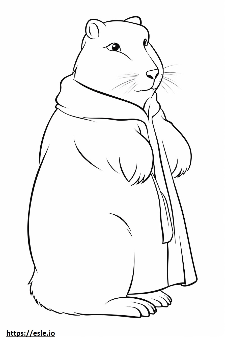 Arctic Hare rajzfilm szinező