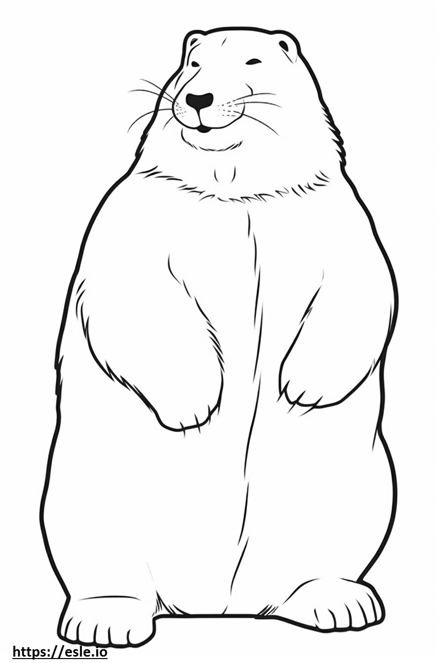 Arctic Hare happy coloring page