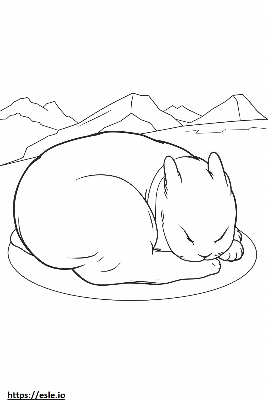 Lebre do Ártico dormindo para colorir