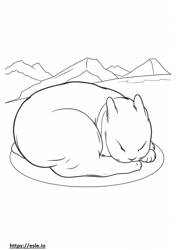 Arktik Tavşan Uyuyor boyama