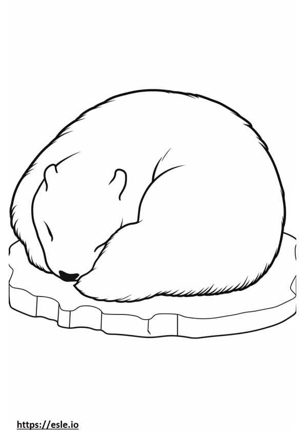 眠っている北極ウサギ ぬりえ - 塗り絵