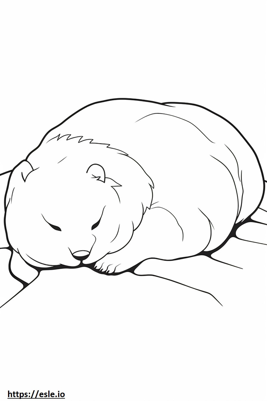 Arctic Hare Sleeping coloring page