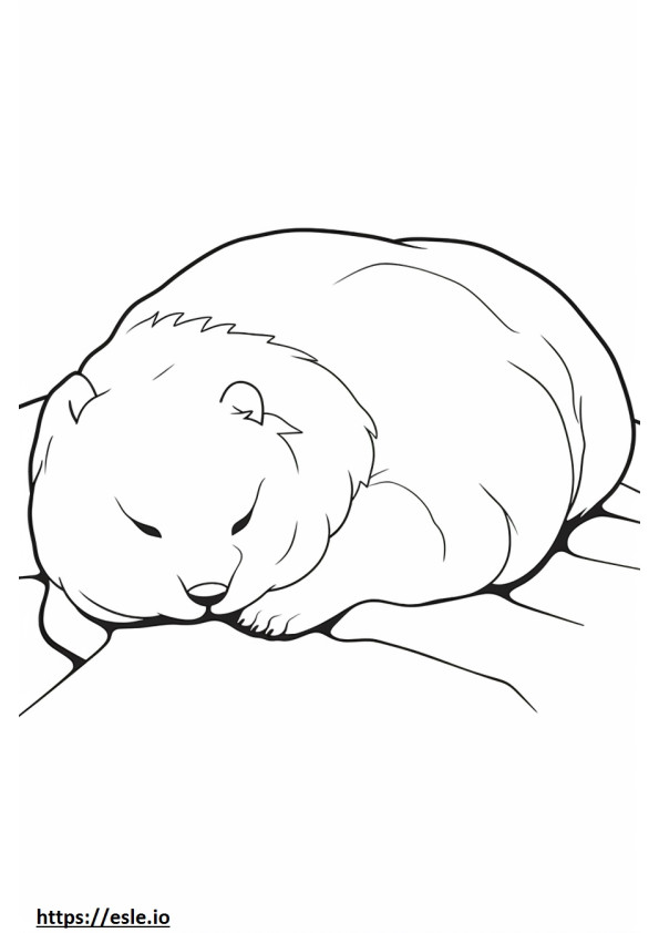 眠っている北極ウサギ ぬりえ - 塗り絵