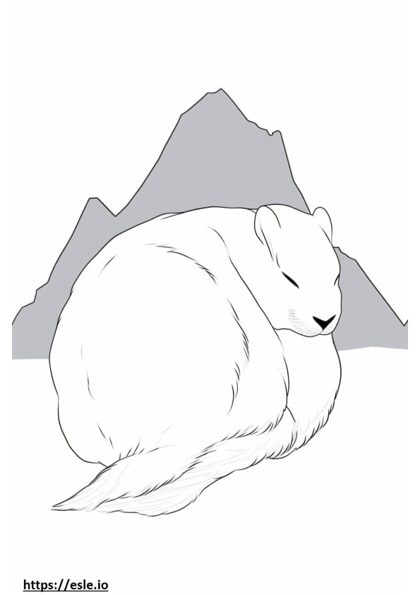 Coloriage Lièvre arctique dormant à imprimer