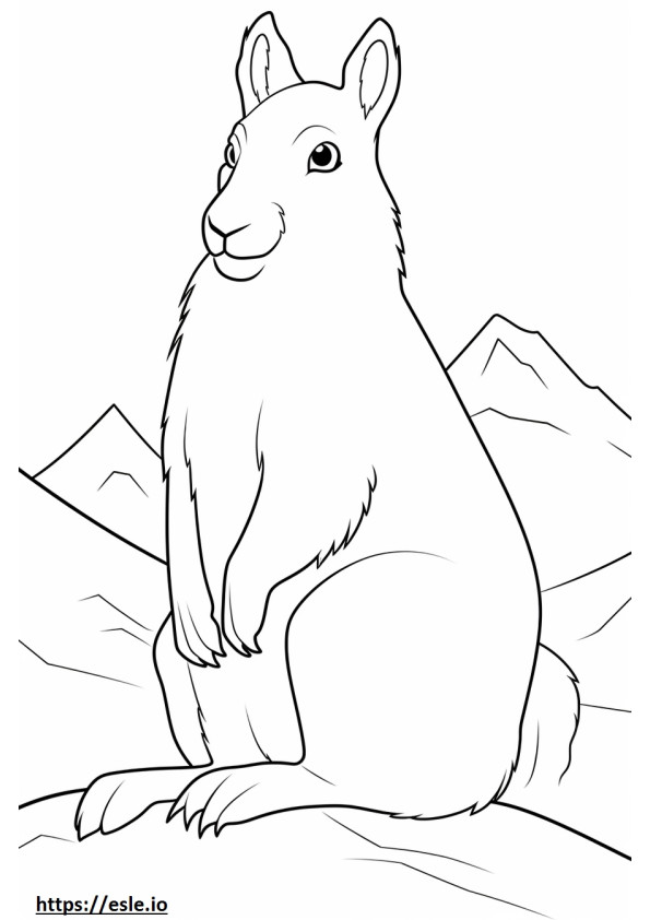 Arctic Hare játék szinező