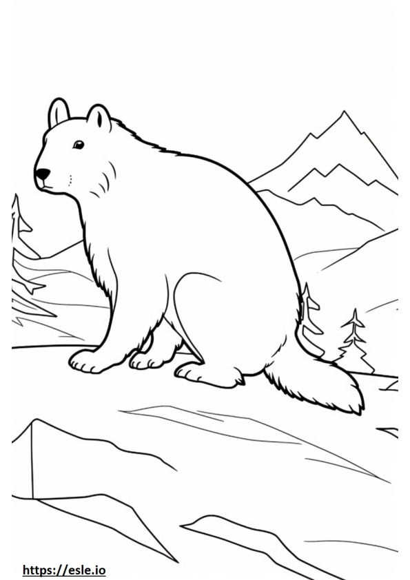 Arctic Hare Playing coloring page