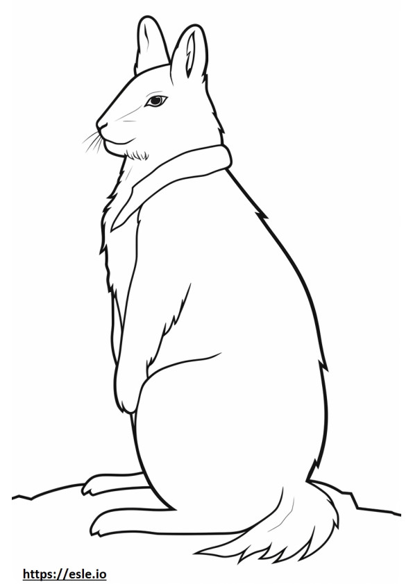 Arctic Hare cute coloring page