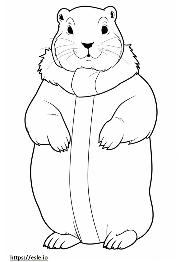 Arctic Hare cute coloring page