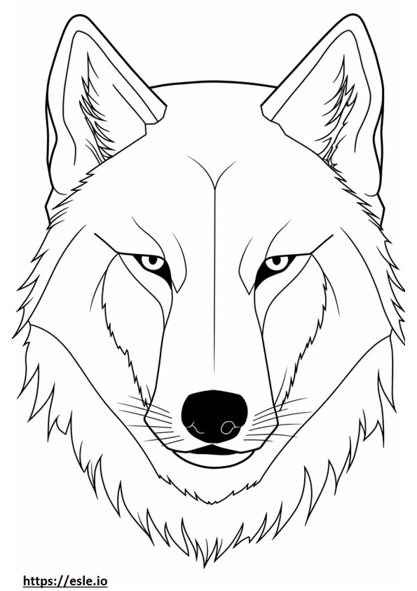 Arctic Wolf face coloring page
