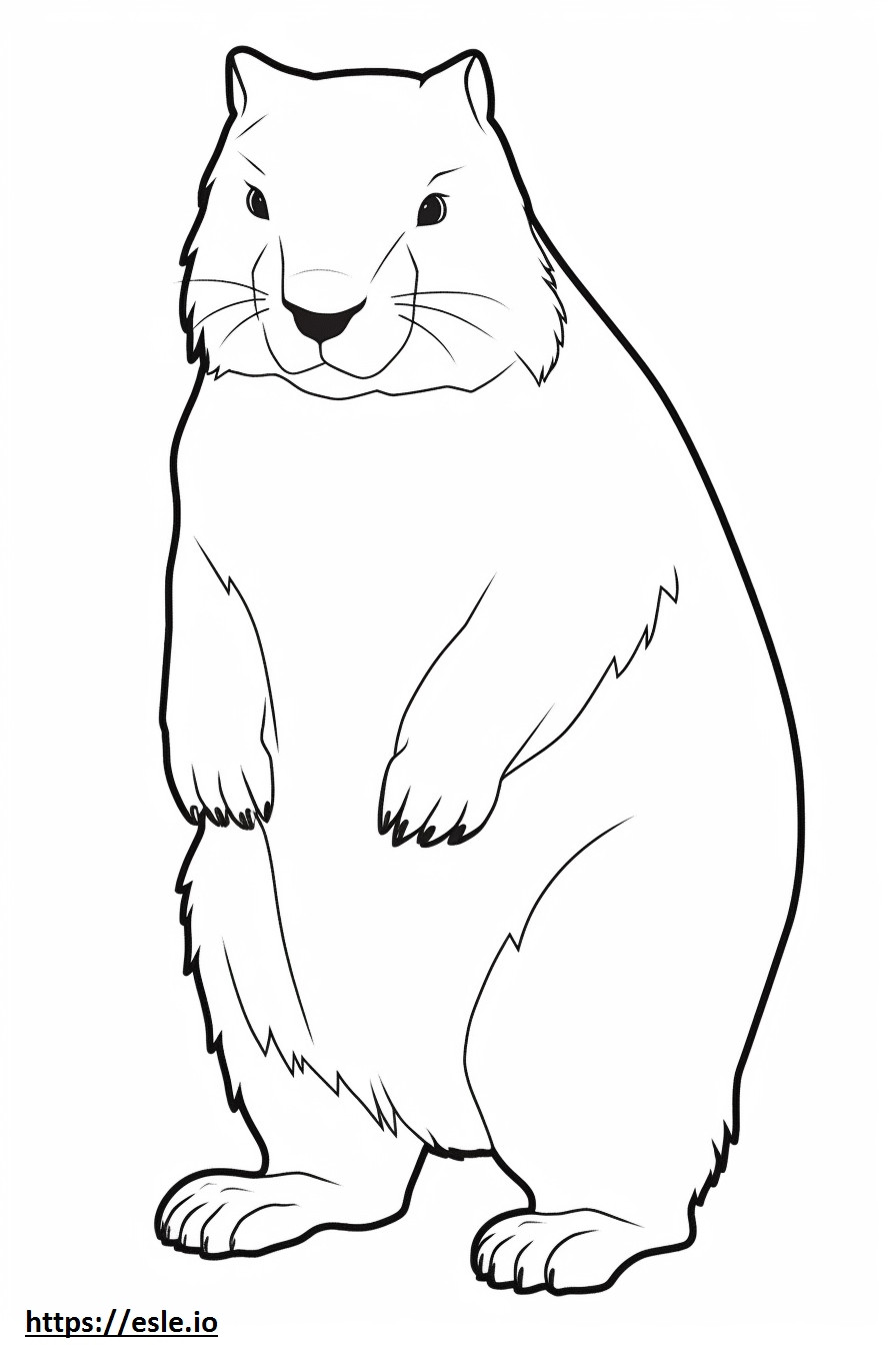 Arctic Hare Friendly coloring page