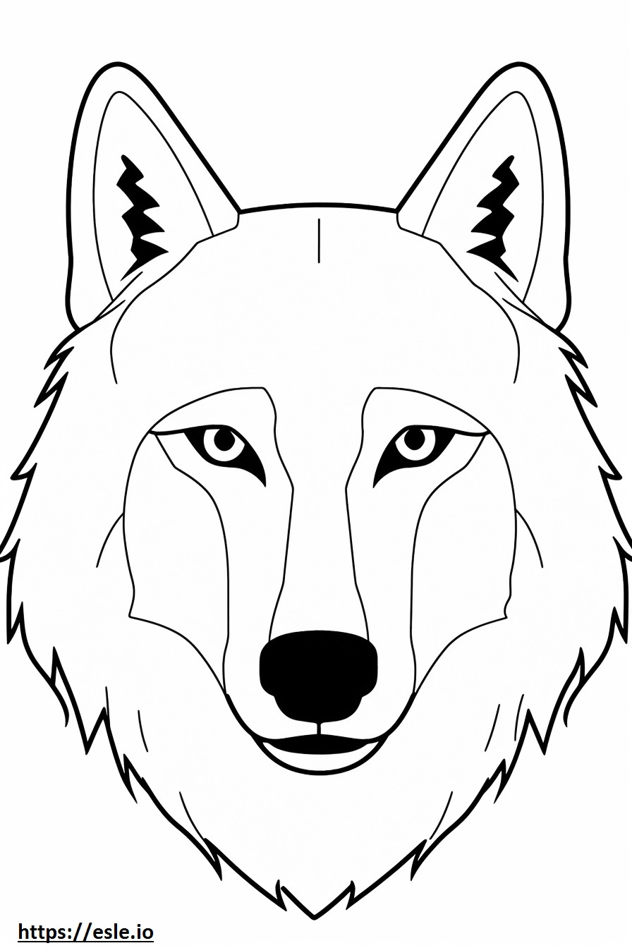Arctic Wolf kasvot värityskuva