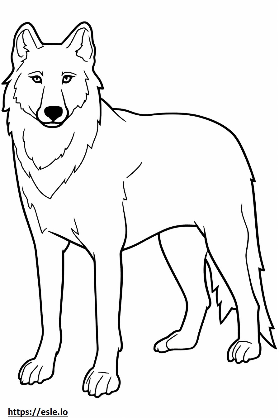 Noordpoolwolf volledig lichaam kleurplaat kleurplaat