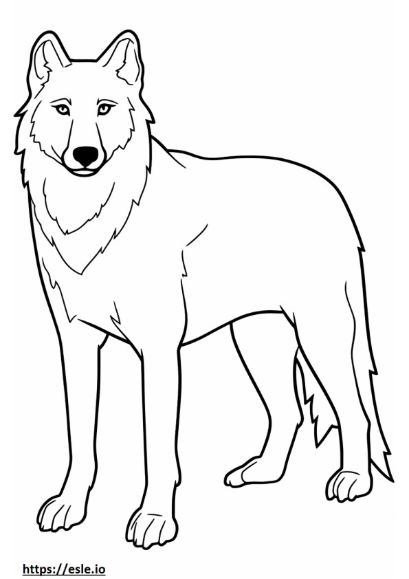 Noordpoolwolf volledig lichaam kleurplaat