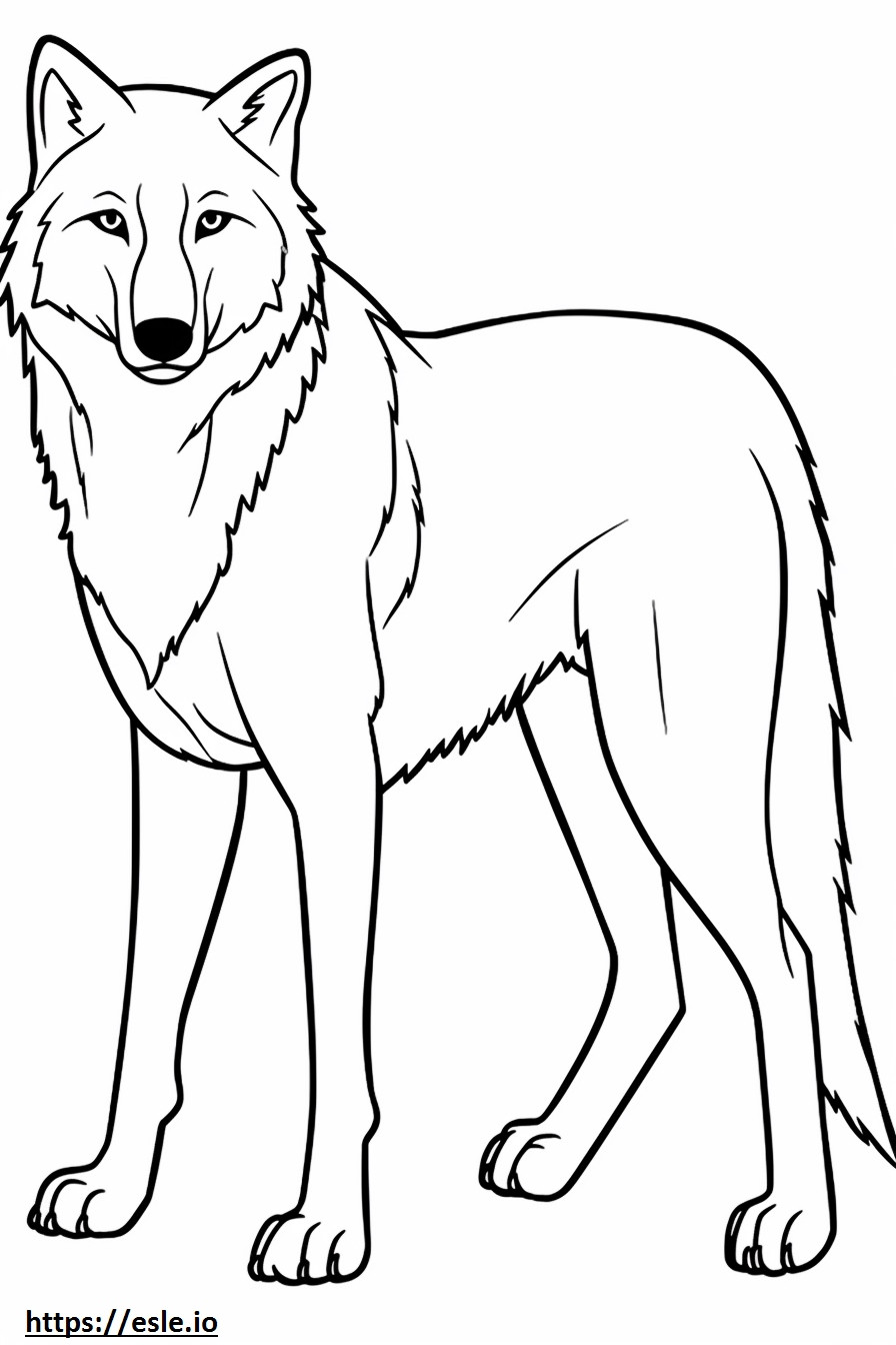 Arktischer Wolf Ganzkörper ausmalbild