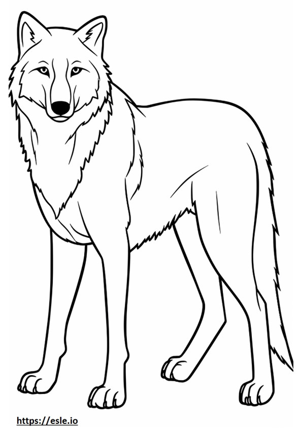 Corpo intero del lupo artico da colorare