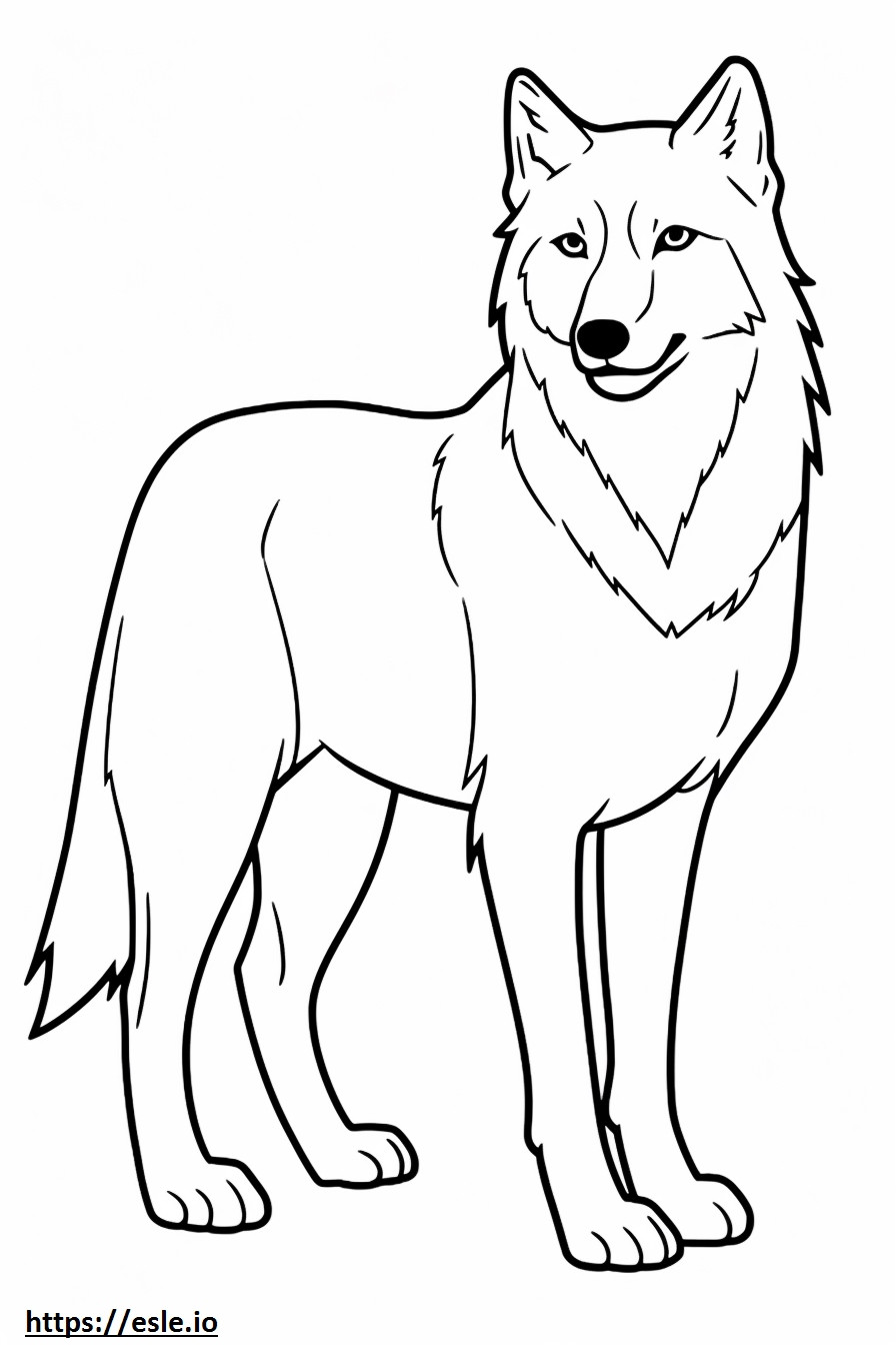 Arktischer Wolf Ganzkörper ausmalbild