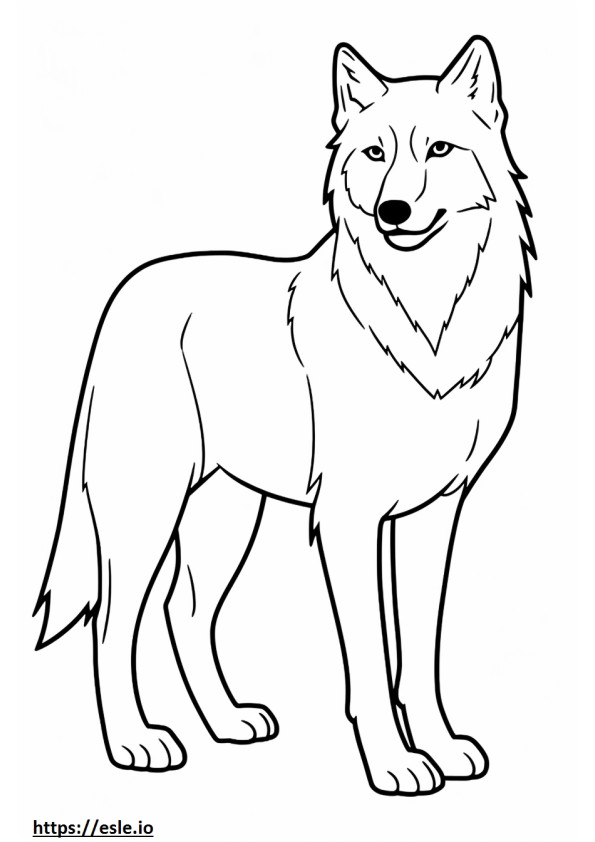 Lobo Ártico de corpo inteiro para colorir