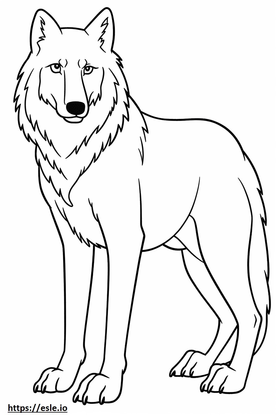 Cartone animato del lupo artico da colorare