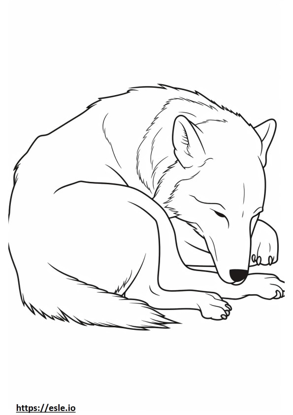 Coloriage Loup arctique endormi à imprimer