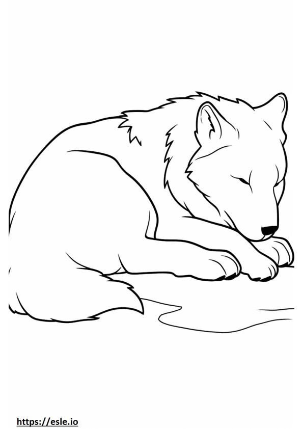 Arktinen susi nukkuu värityskuva