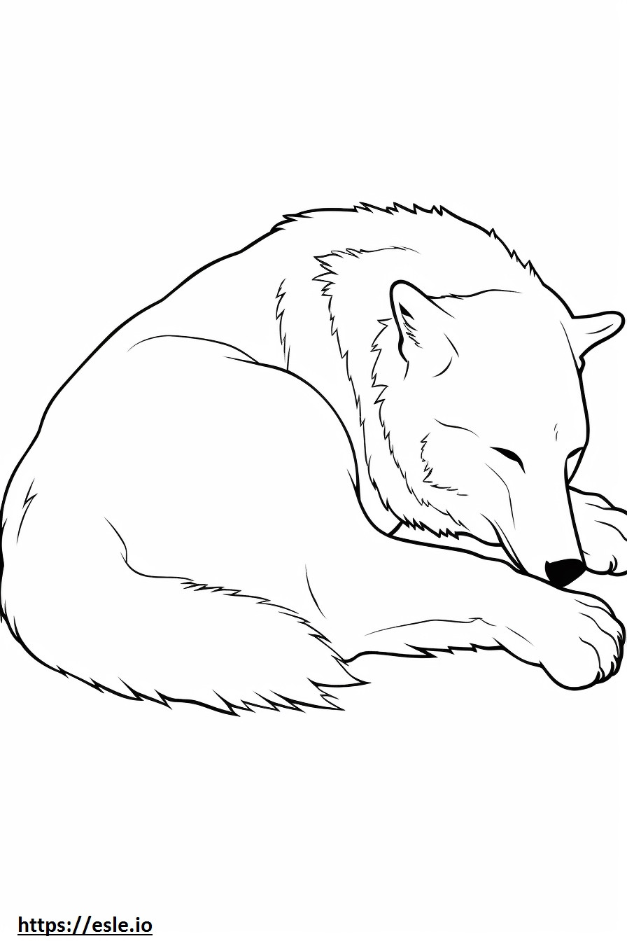 Lobo ártico durmiendo para colorear e imprimir