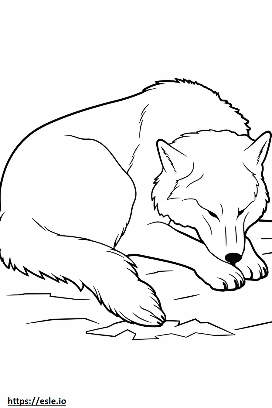 Noordpoolwolf slaapt kleurplaat kleurplaat