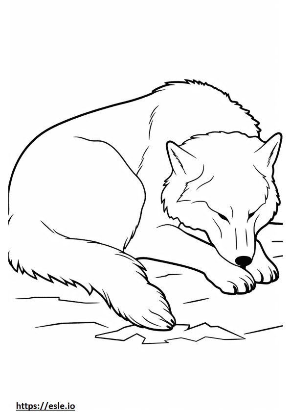 Lobo Ártico dormindo para colorir