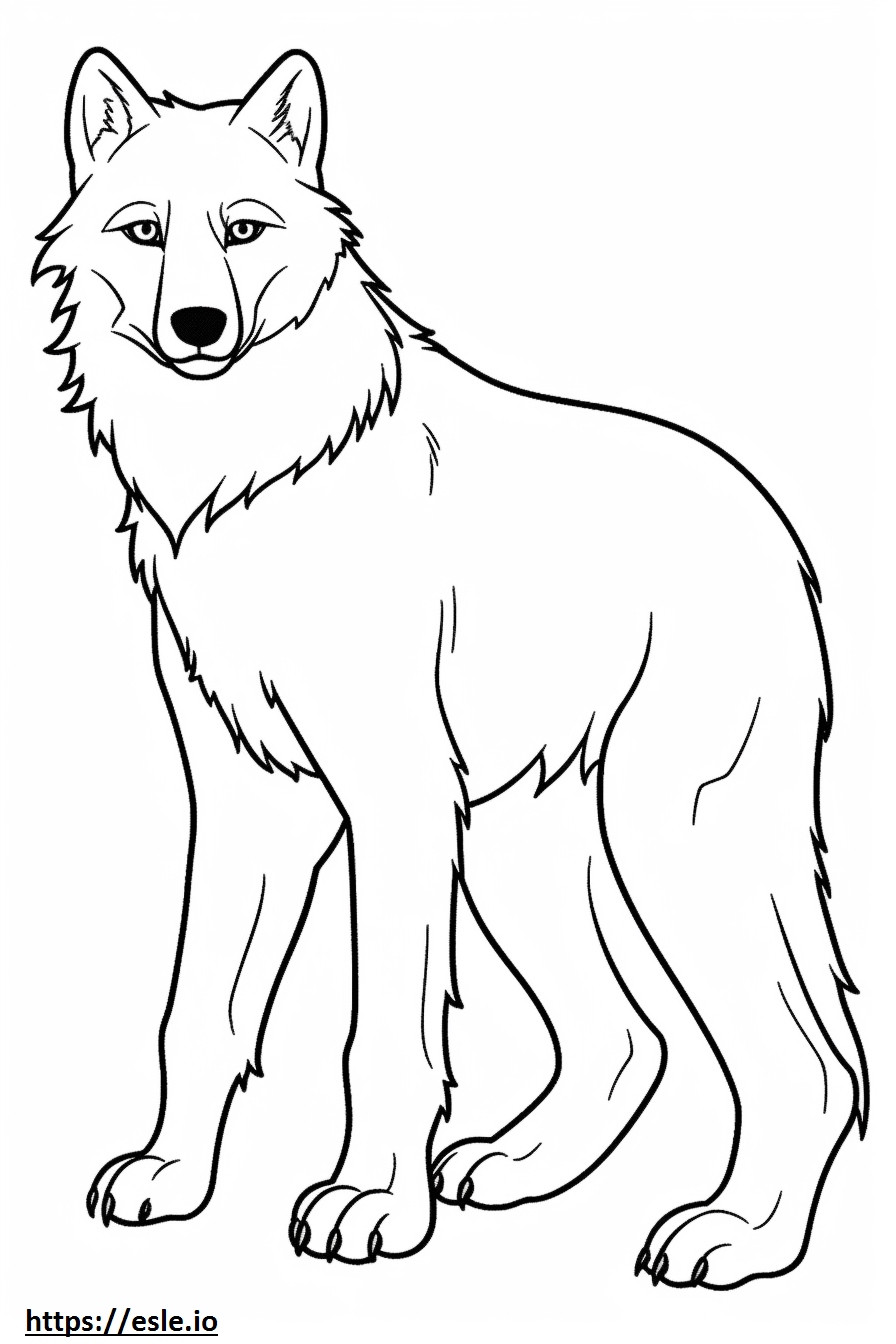 Arctic Wolf Playing coloring page