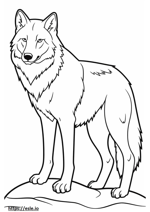 Arctic Wolf -ystävällinen värityskuva