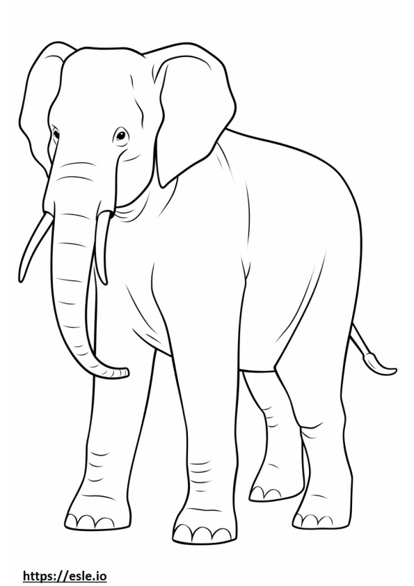 Corpo intero dell'elefante asiatico da colorare