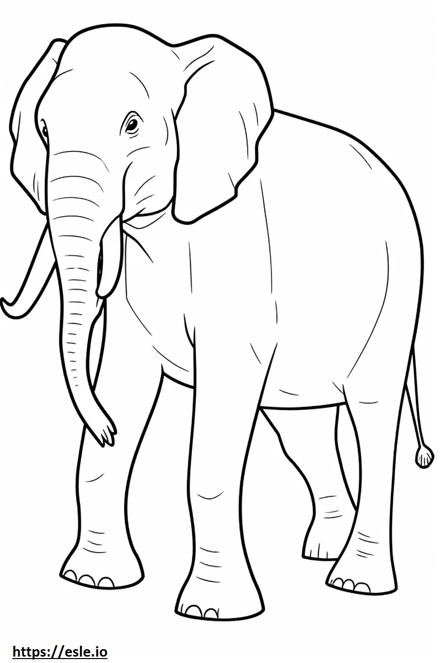 Elefantul asiatic pe tot corpul de colorat