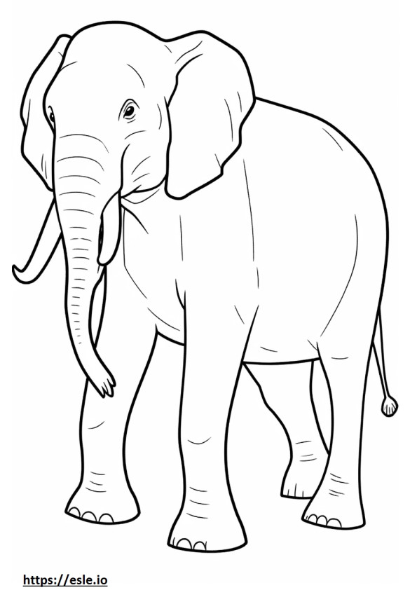 Asian Elephant full body coloring page