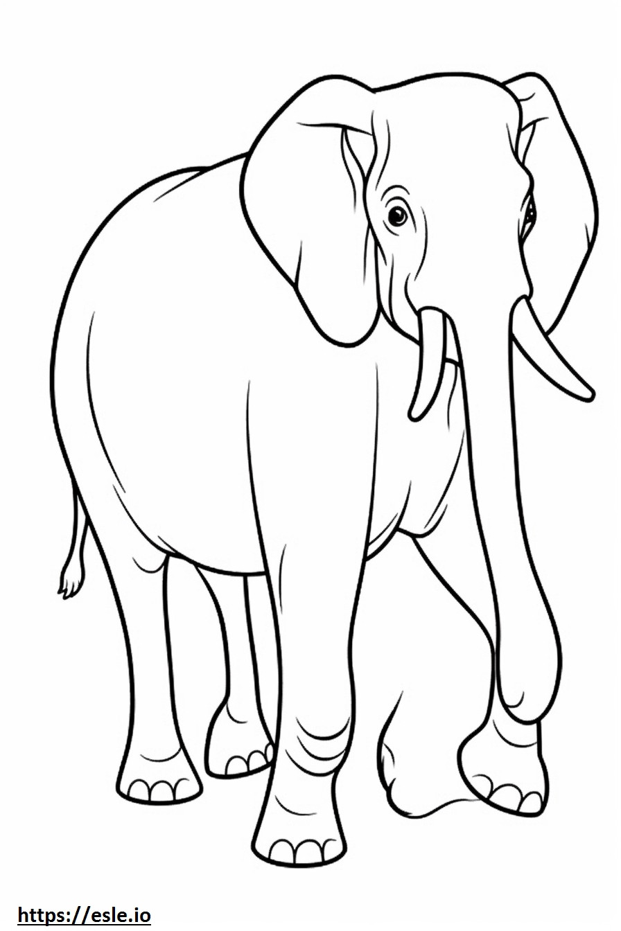 Aasian norsu koko vartalo värityskuva