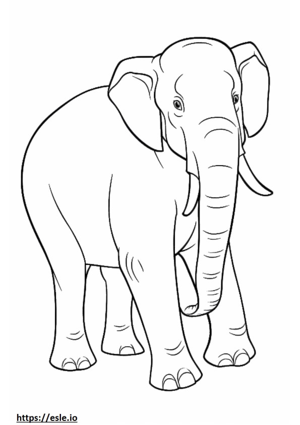 Het volledige lichaam van de Aziatische olifant kleurplaat