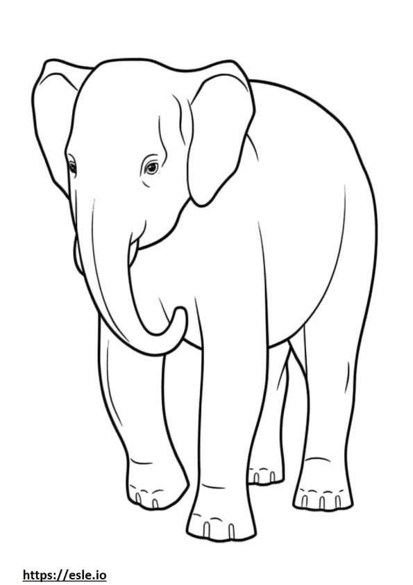 Coloriage Bébé éléphant d'Asie à imprimer