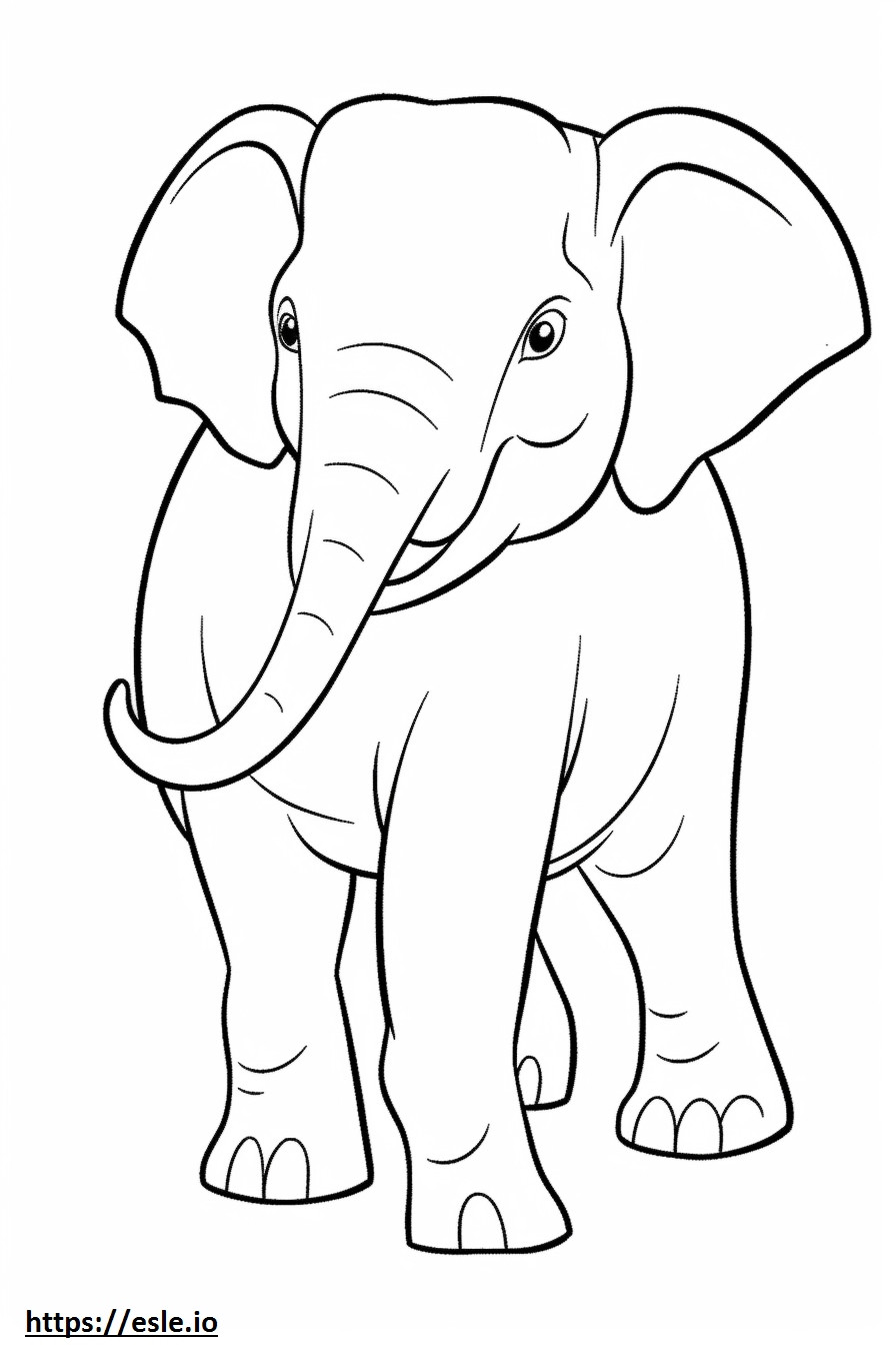 Bebê elefante asiático para colorir