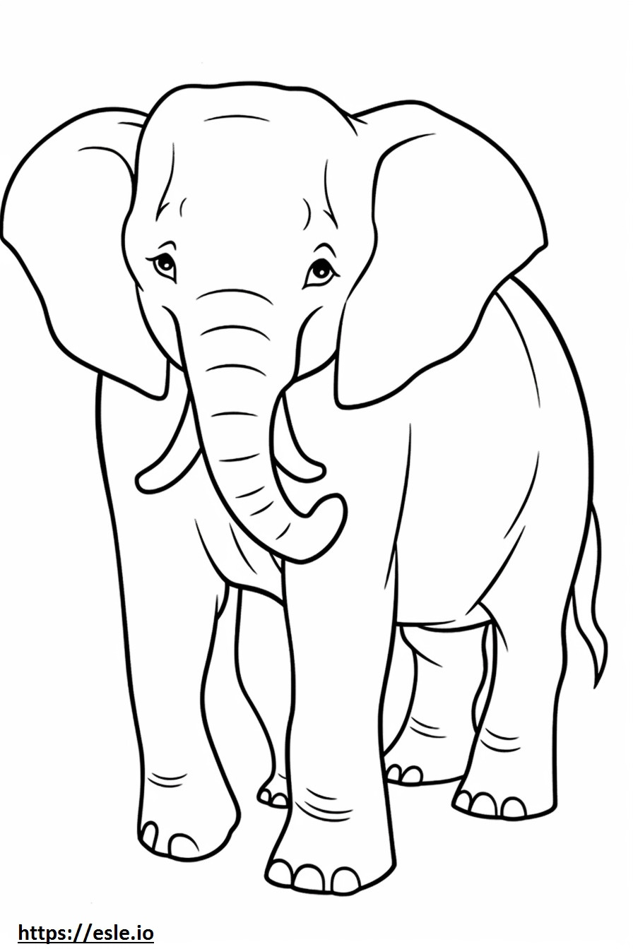 Dibujos animados de elefante asiático para colorear e imprimir