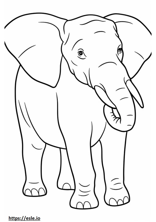 Elefante asiatico carino da colorare