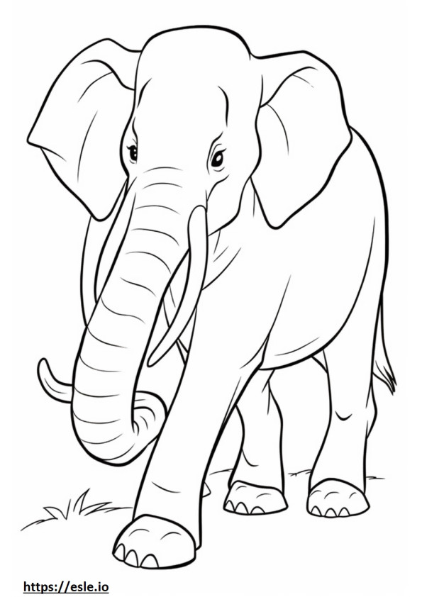 Elefante asiático lindo para colorear e imprimir