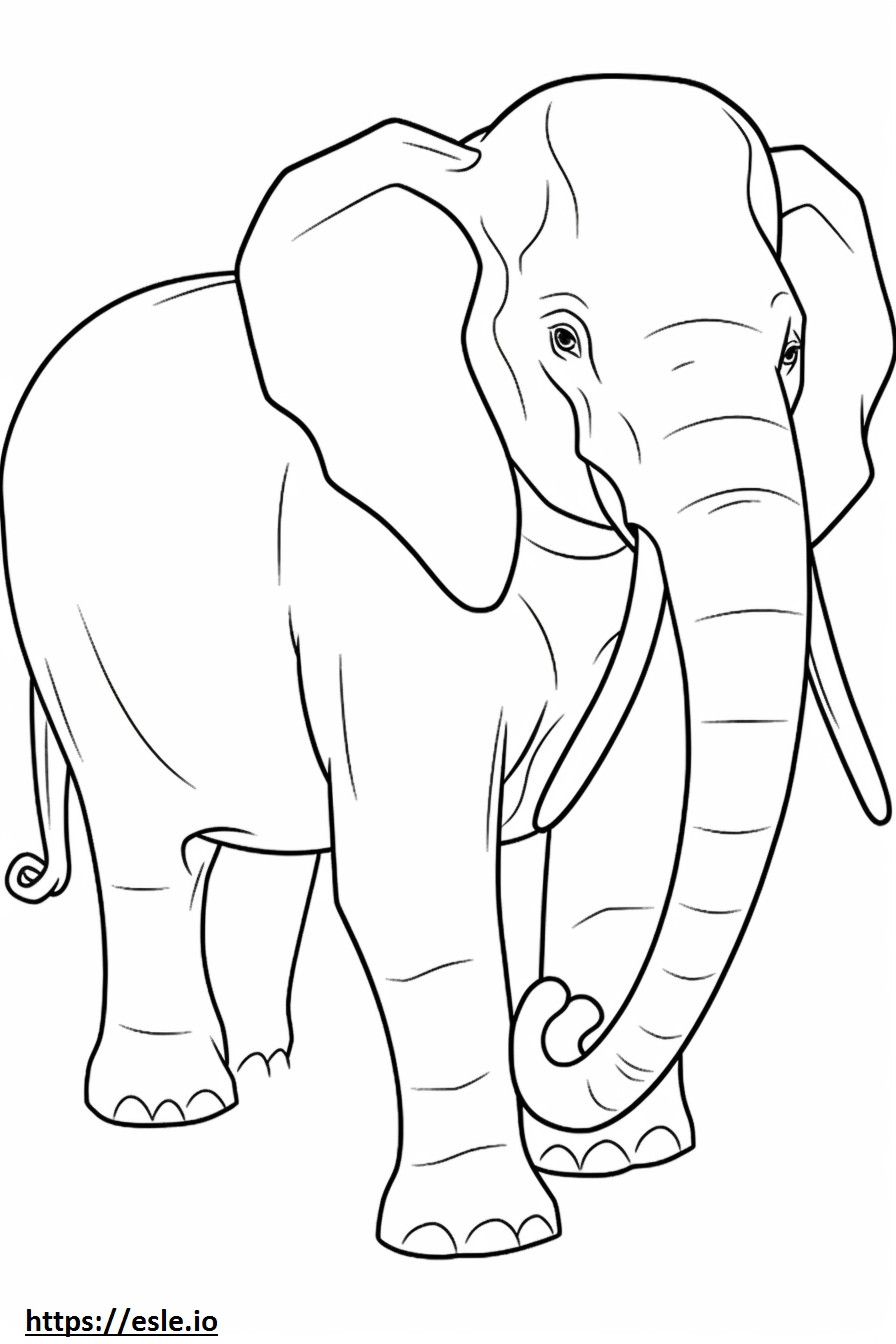 Elefante asiático fofo para colorir