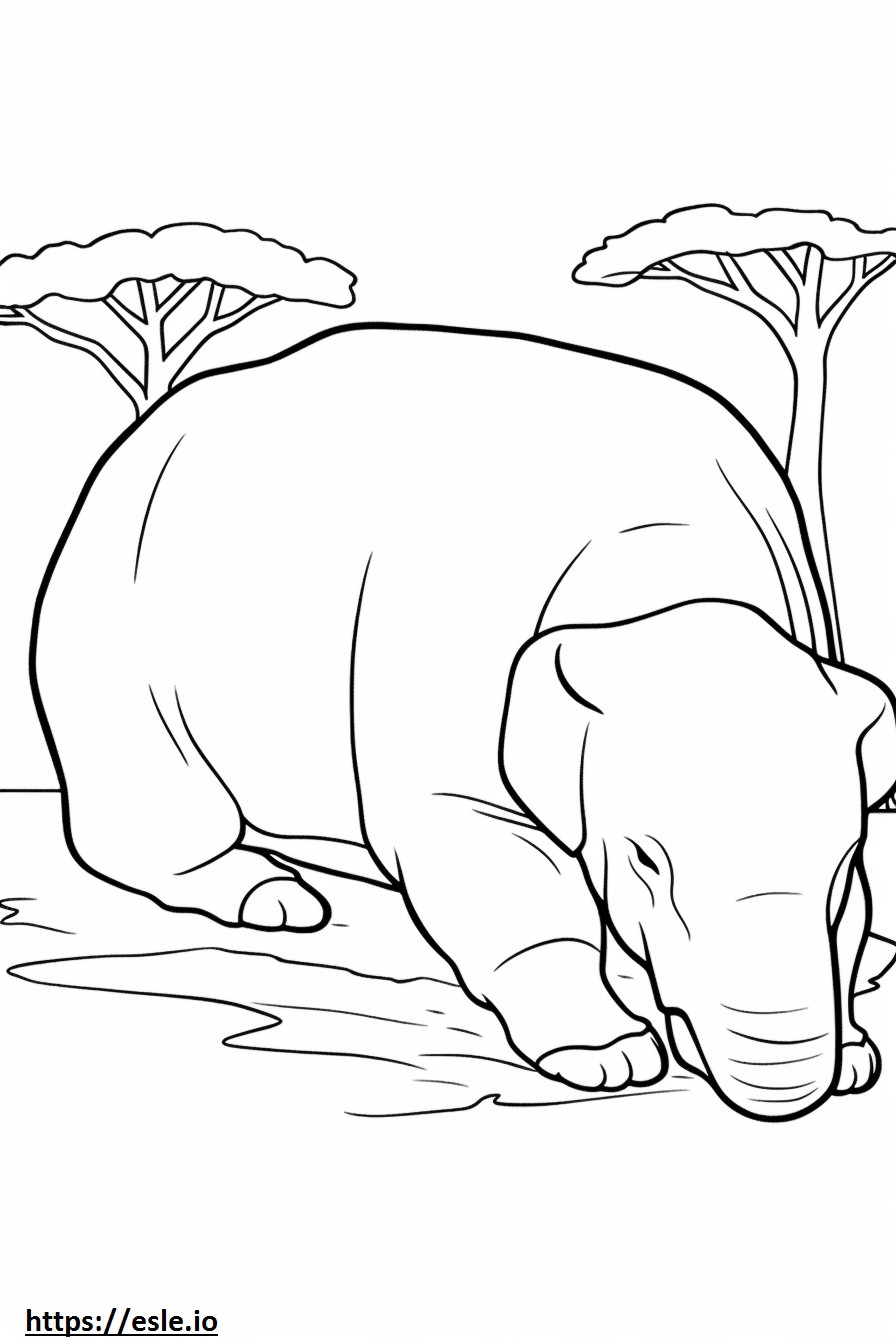 Asian Elephant Sleeping coloring page