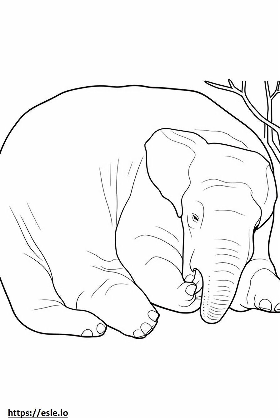 Aasian norsu nukkuu värityskuva