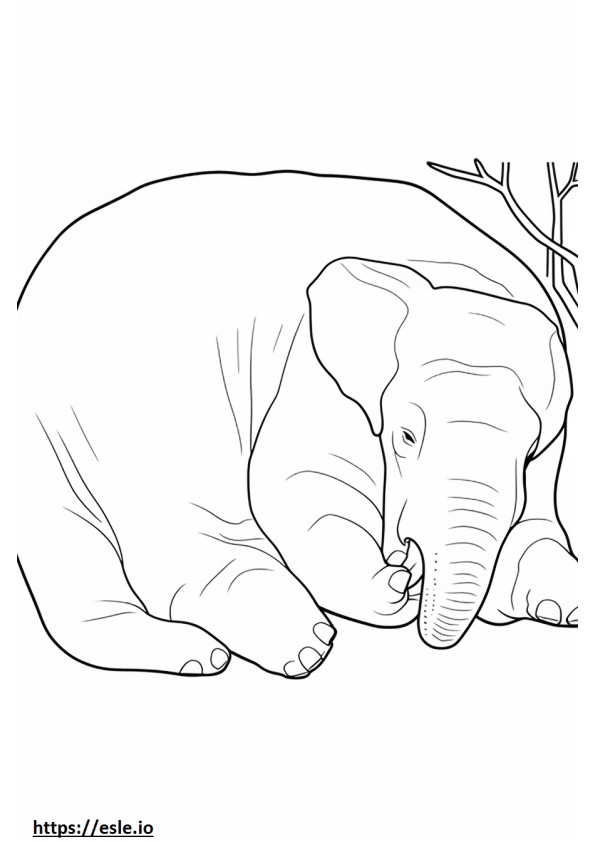 Elefantul Asiatic Dormit de colorat
