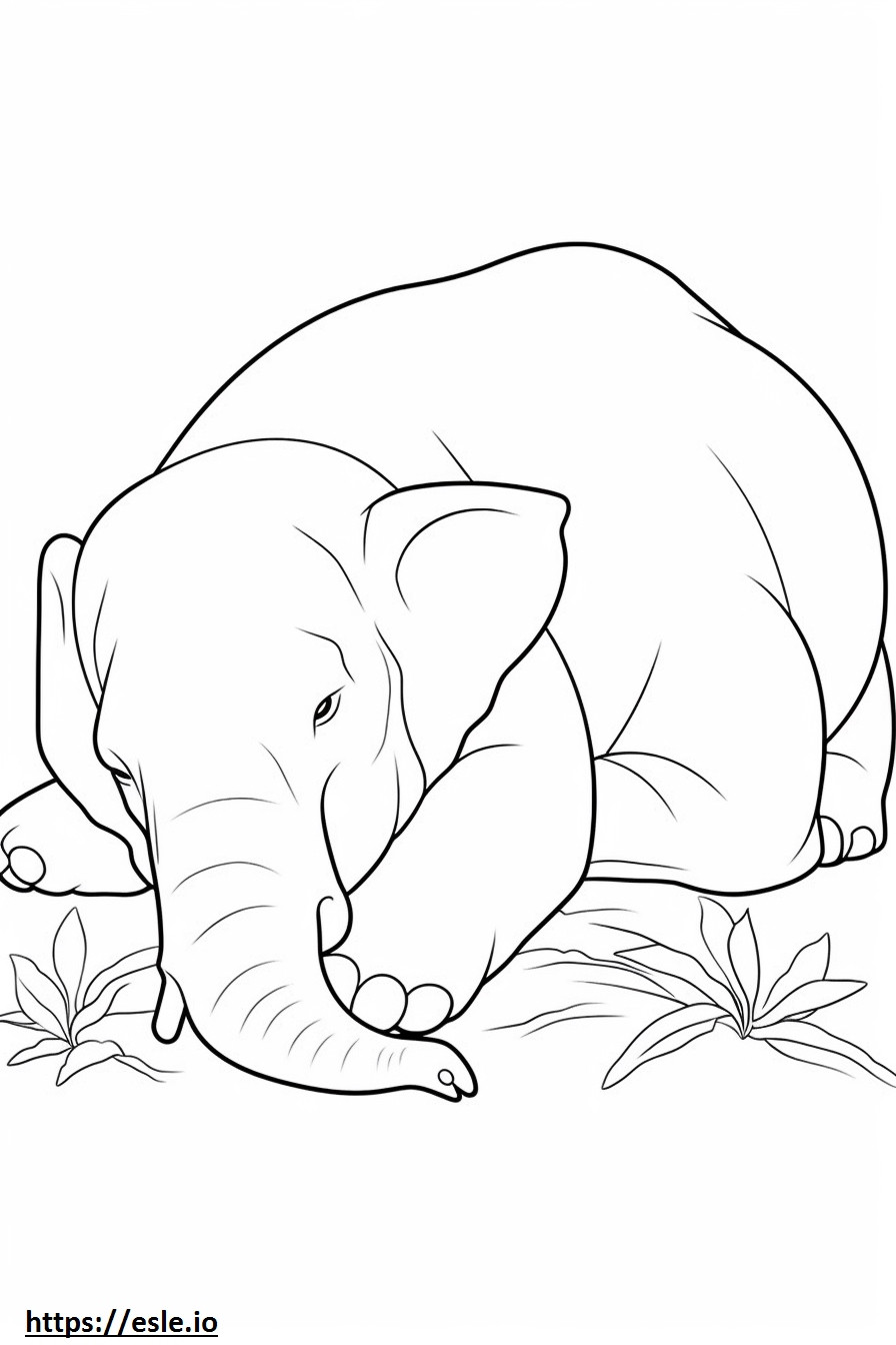 Uyuyan Asya fili boyama